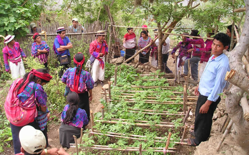 HueHueVisitaMayo.AUG